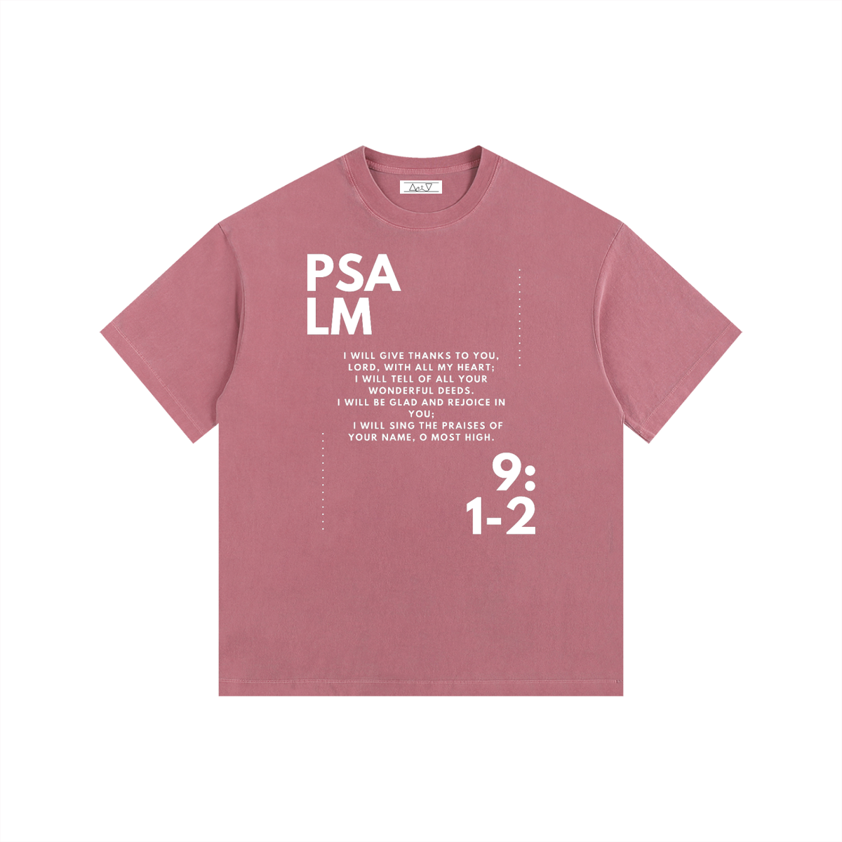 "Psalm 9:1-2" Vintage Washed Oversized Cotton T-Shirt