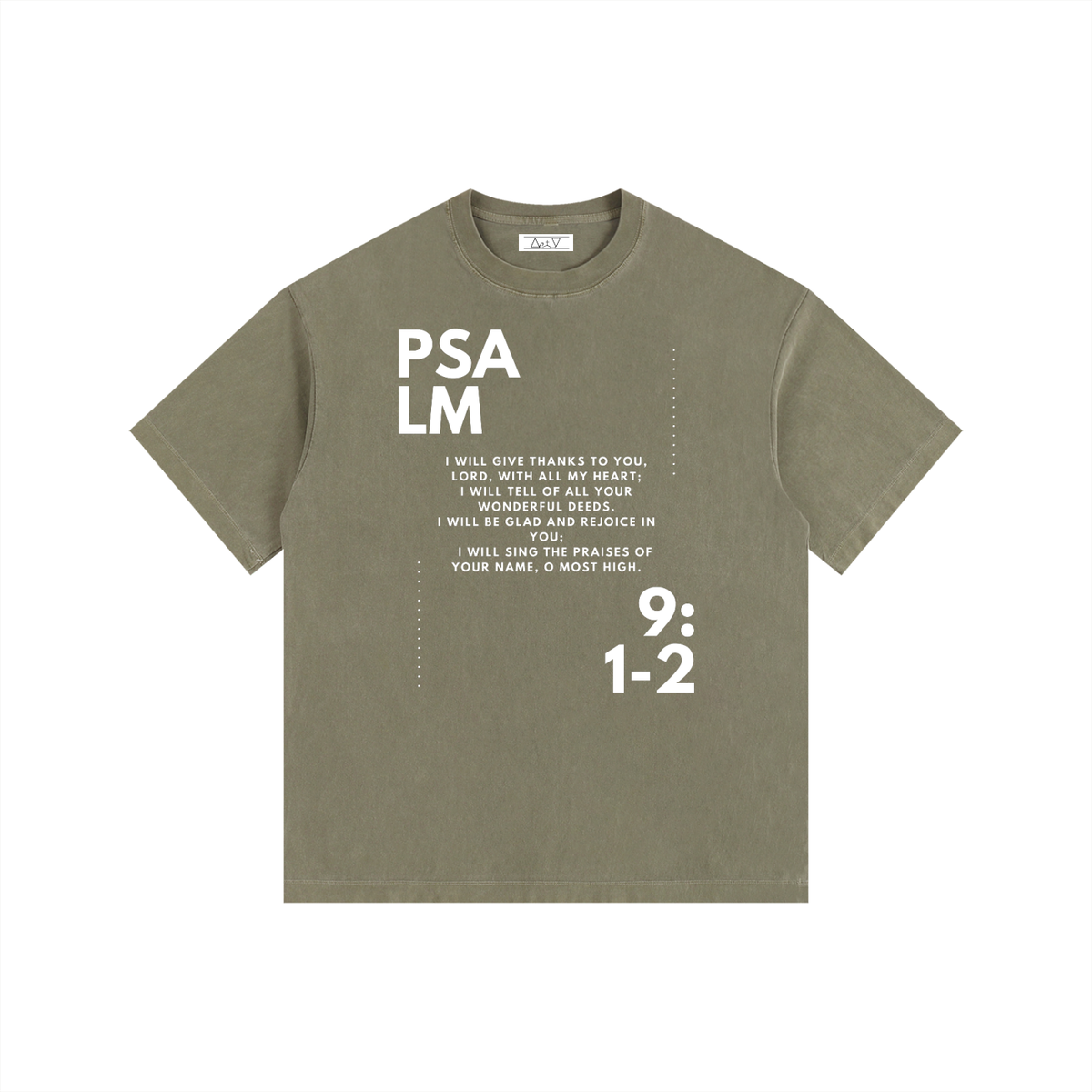 "Psalm 9:1-2" Vintage Washed Oversized Cotton T-Shirt