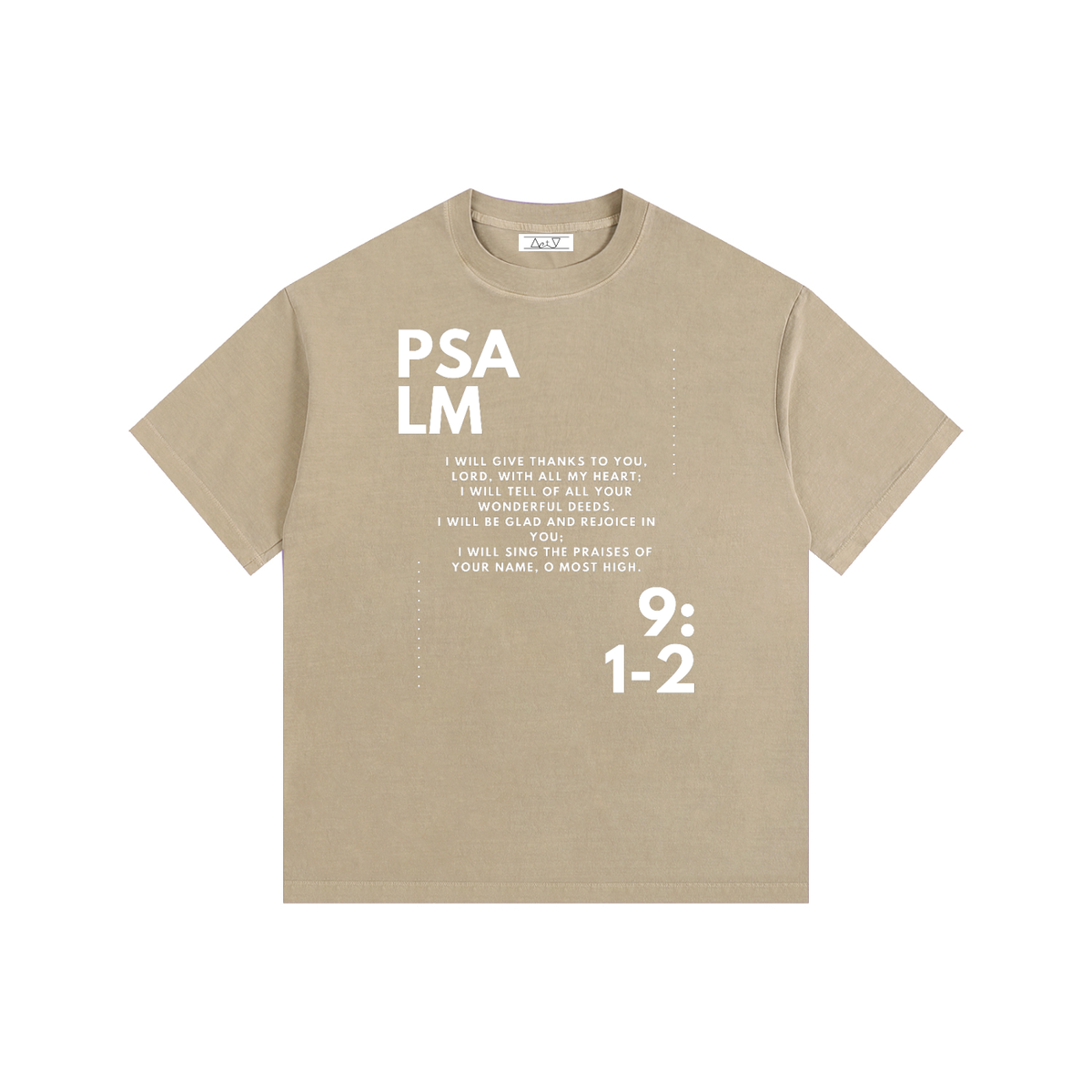 "Psalm 9:1-2" Vintage Washed Oversized Cotton T-Shirt